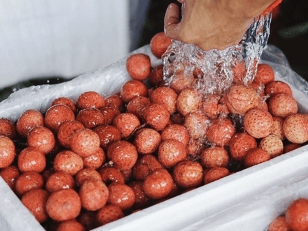 so-che-vai-thieu-truoc-khi-say