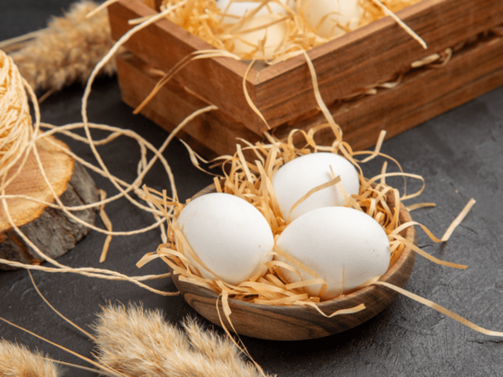 tam-quan-trong-cua-trung-ngong-trong-dinh-duong-cho-me-bau