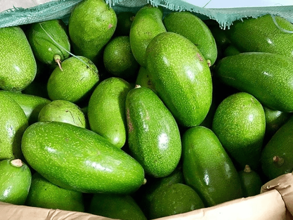 phan-biet-cac-loai-bo-pho-bien-tren-thi-truong