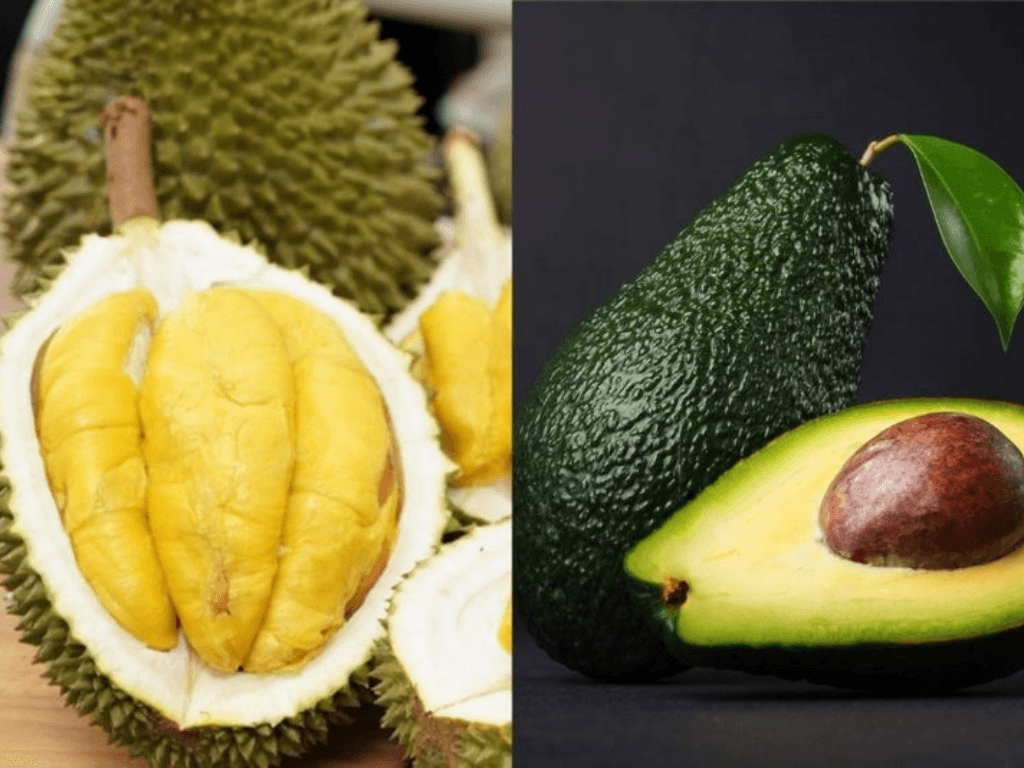 chuan-bi-nguyen-lieu-lam-sinh-to-bo-sau-rieng-tuoi-ngon