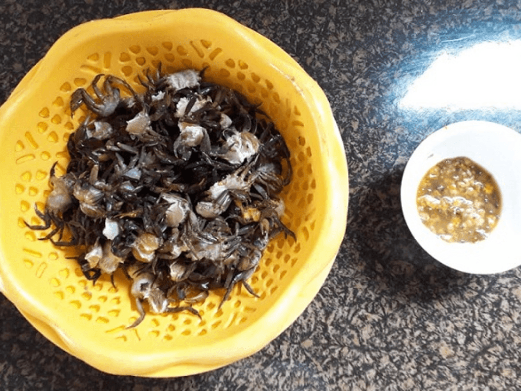 so-che-cua-va-ca-chua-dung-cach-de-giu-vi-ngot-va-nuoc-trong