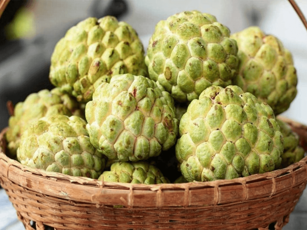 bao-quan-o-nhiet-do-phong