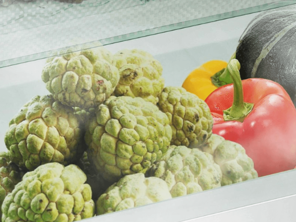 bao-quan-trong-tu-lanh-de-keo-dai-thoi-gian-su-dung