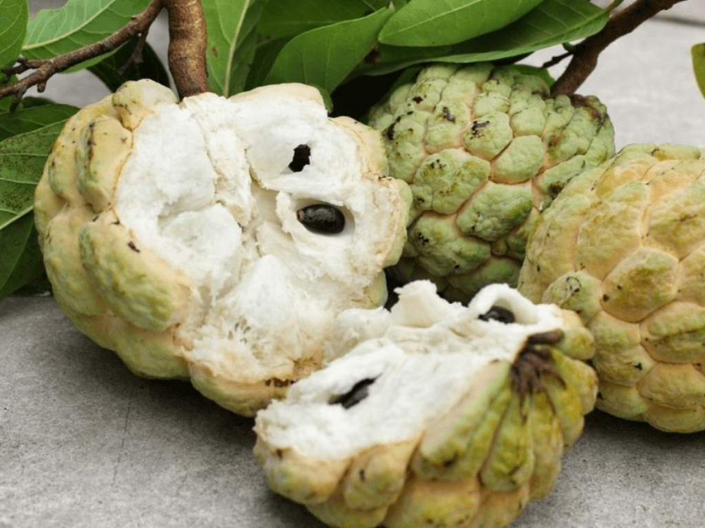 vi-sao-can-bao-quan-na-chin-dung-cach