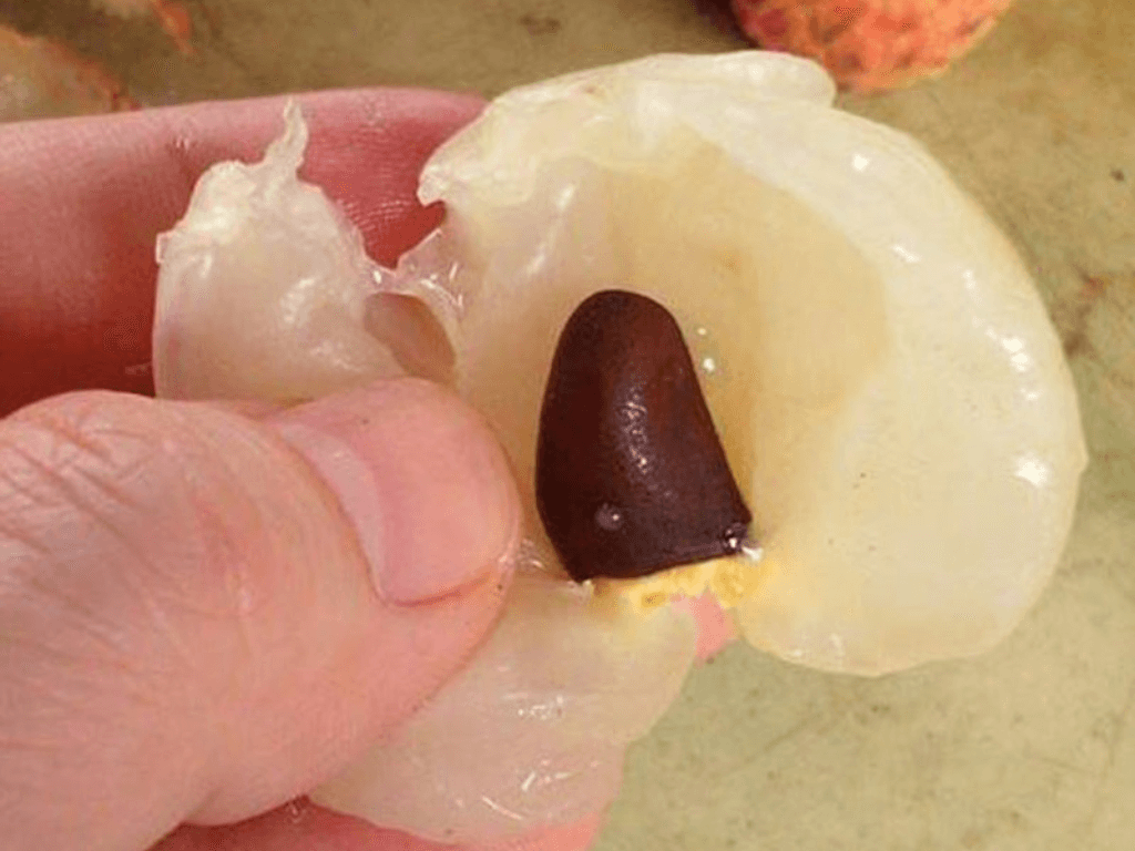 so-che-vai-va-chuan-bi-cac-thanh-phan