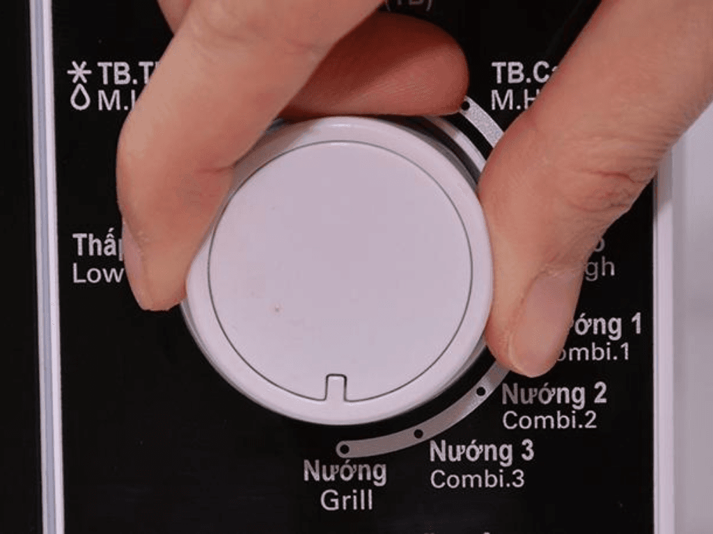 huong-dan-cach-nuong-co-ban-tren-lo-vi-song-electrolux