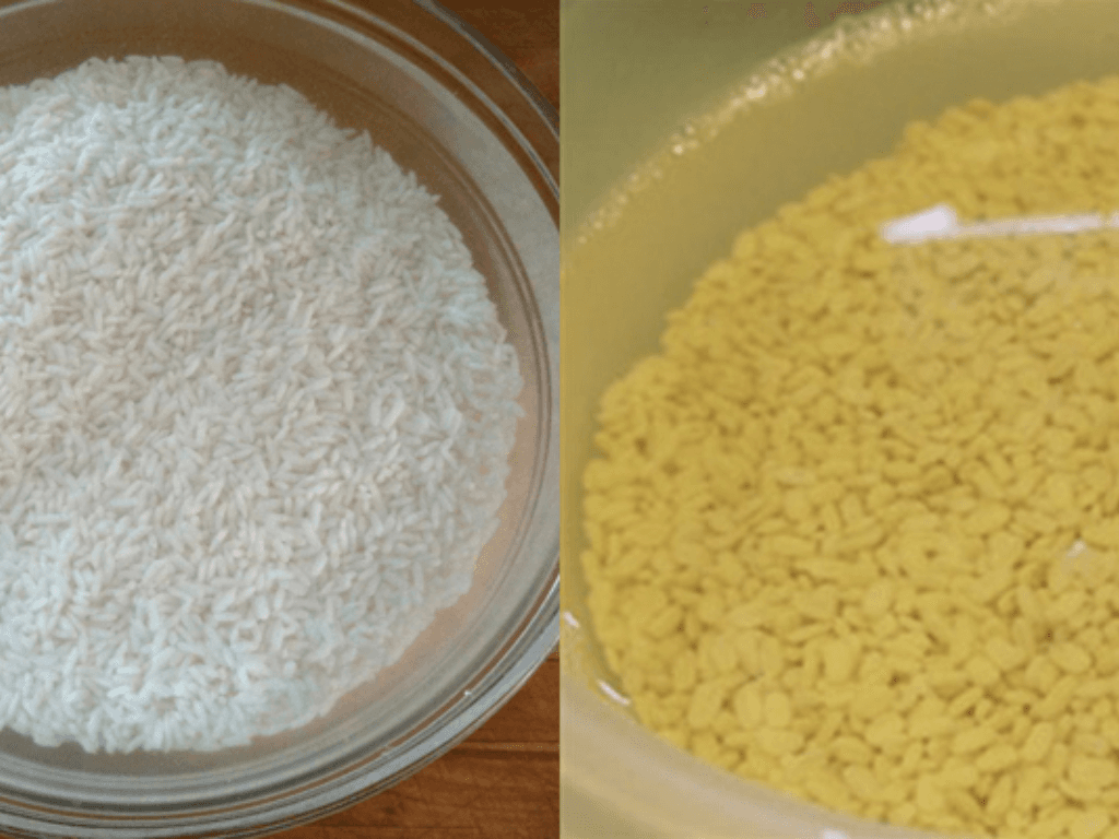 nguyen-lieu-chuan-bi-de-nau-chao-do-xanh-thom-ngon