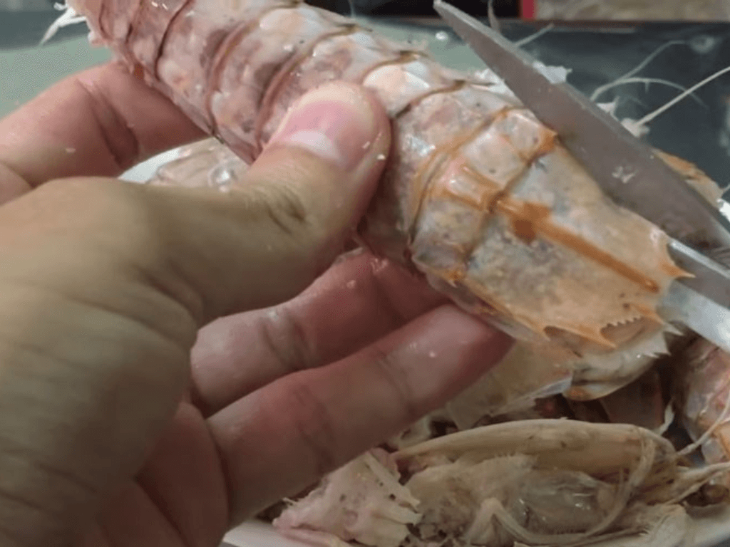 so-che-va-xu-ly-be-be-de-giu-tron-vi-ngot