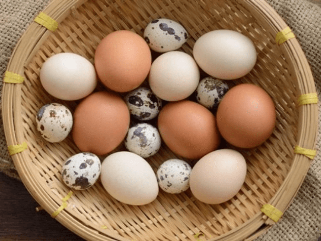 chuan-bi-nguyen-lieu-va-dung-cu