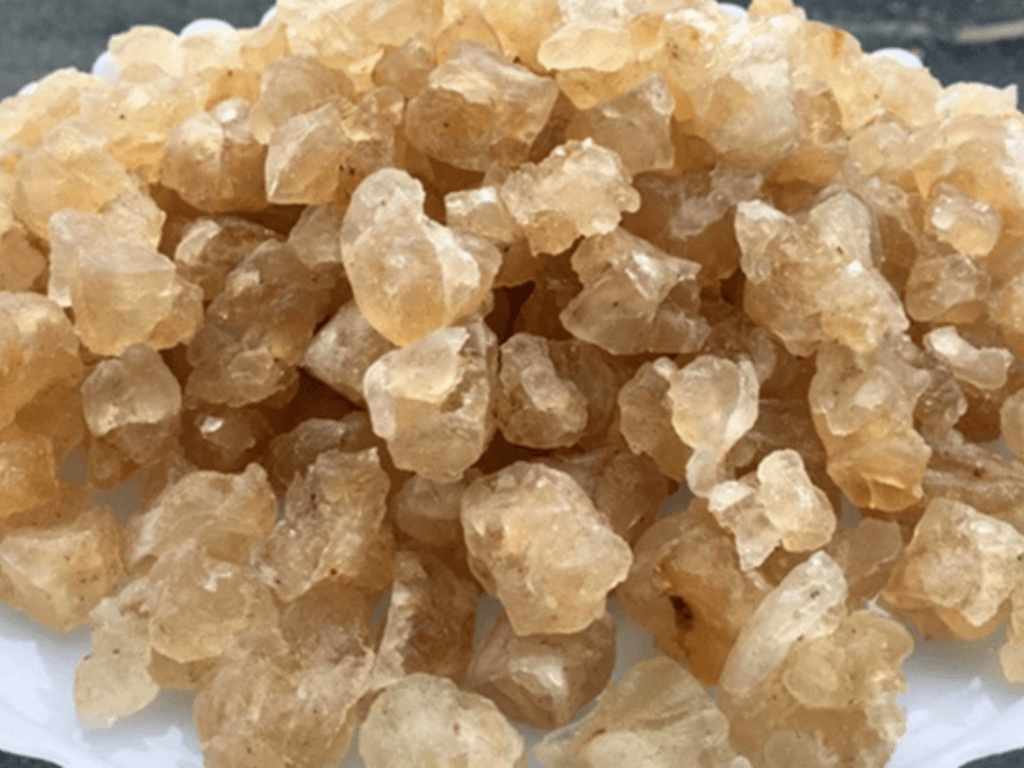 mu-trom-tien-duoc-tu-thien-nhien-duoc-ua-chuong-tu-xa-xua