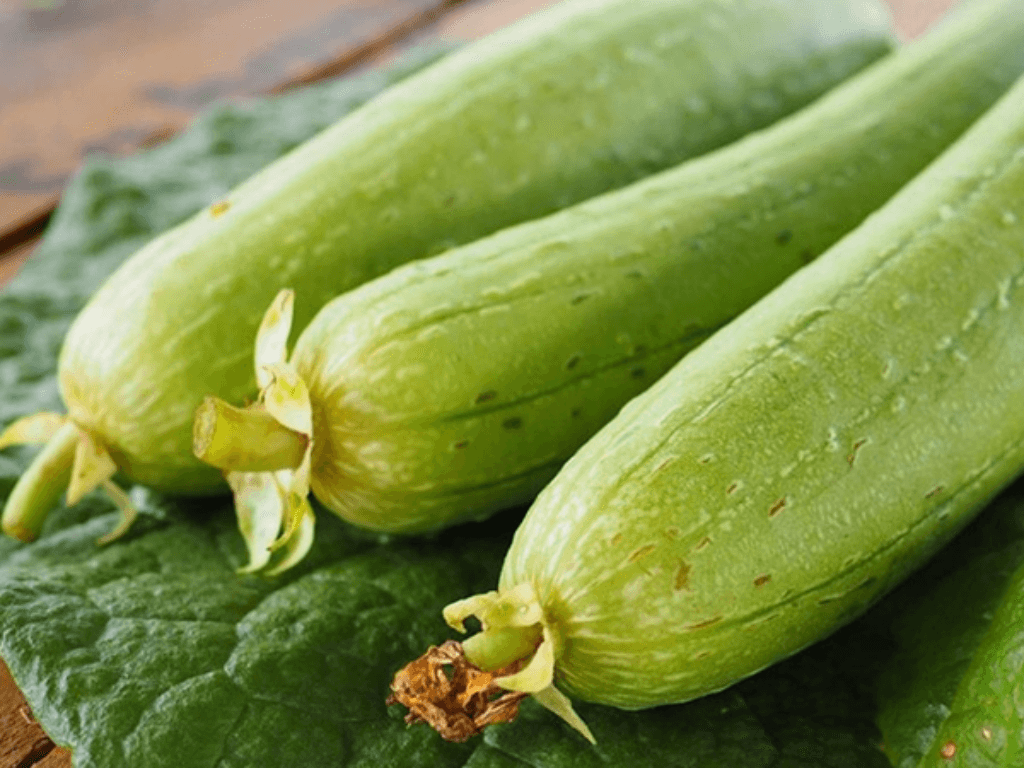 bi-quyet-chon-muop-ngon-va-lac-bui-beo