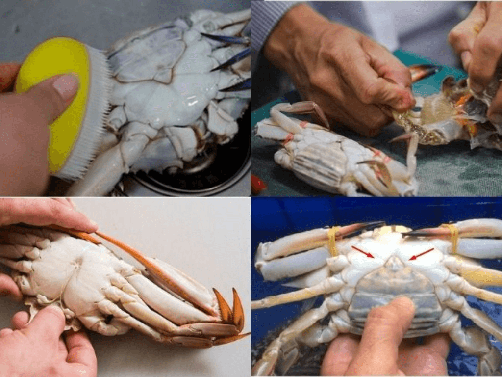 cach-so-che-ghe-va-nguyen-lieu-di-kem