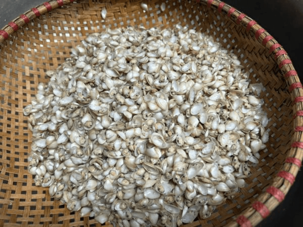 3-buoc-so-che-don-chuan-de-khu-mui-tanh