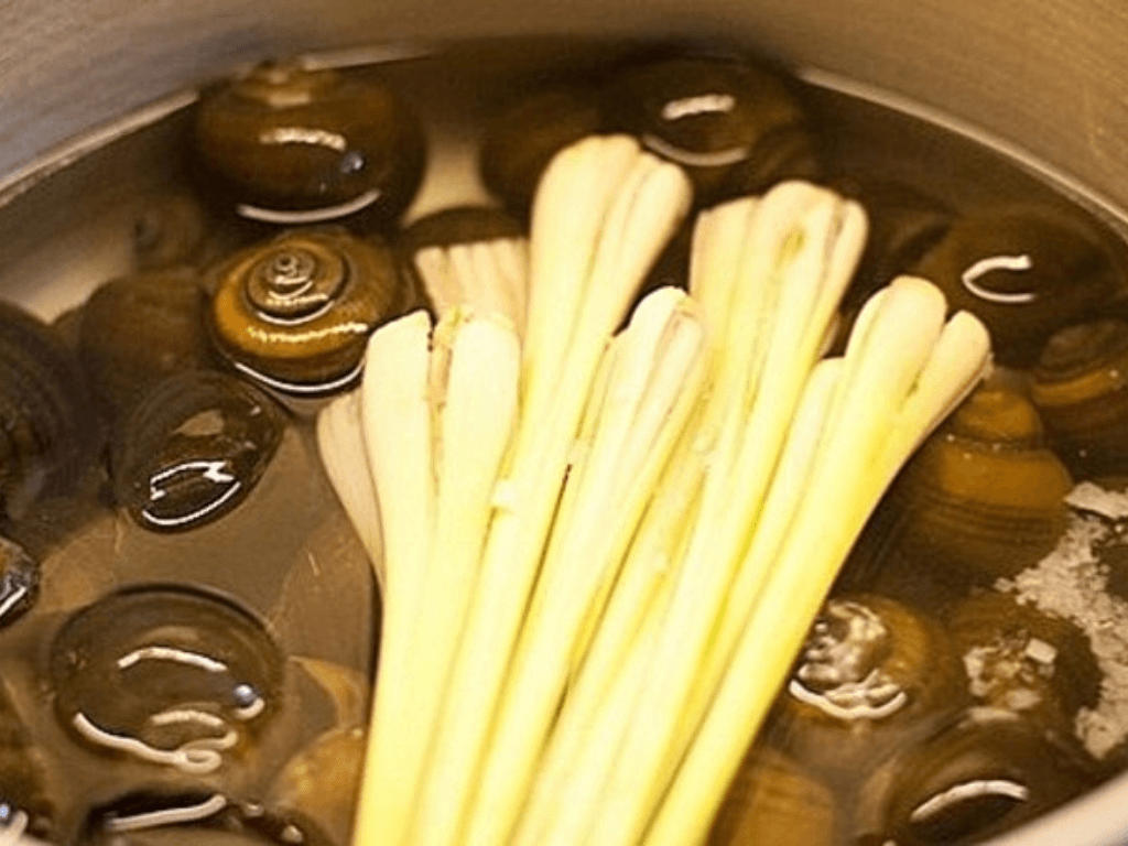 cach-luoc-oc-ngon-dung-chuan