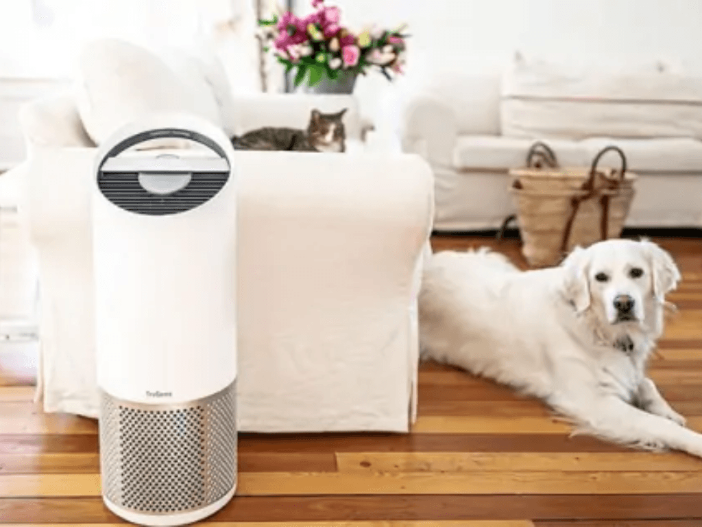 meo-khu-mui-hieu-qua-cho-cho-meo