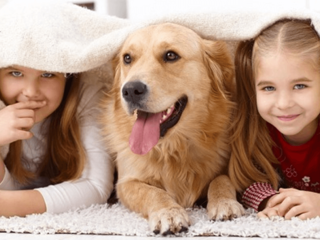 mui-thu-cung-trong-nha-khien-nhieu-nguoi-kho-chiu