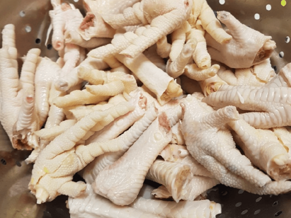 so-che-chan-ga-de-khu-mui-va-tao-do-gion-dai