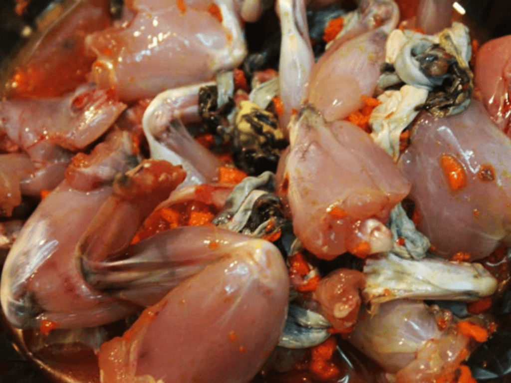 bi-quyet-uop-ech-cho-tham-gia-vi-len-mau-dep