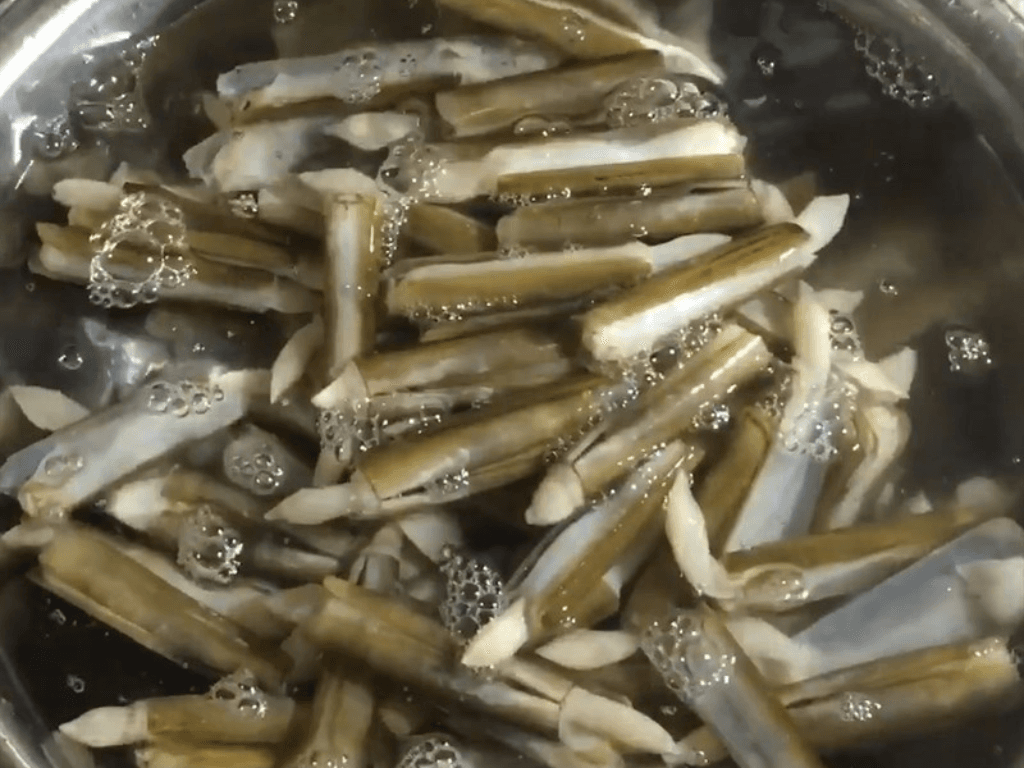 bi-quyet-chon-va-so-che-oc-mong-tay-sach-khong-con-cat