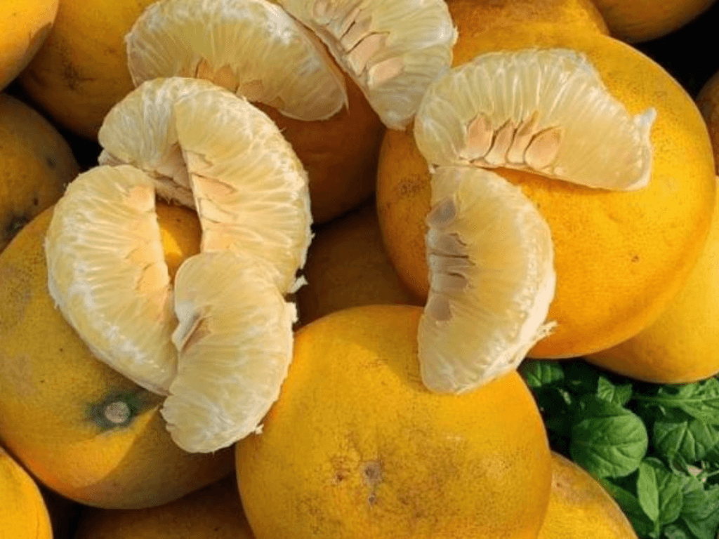 vi-sao-nen-chon-dung-buoi-dien-chuan-nha-vuon