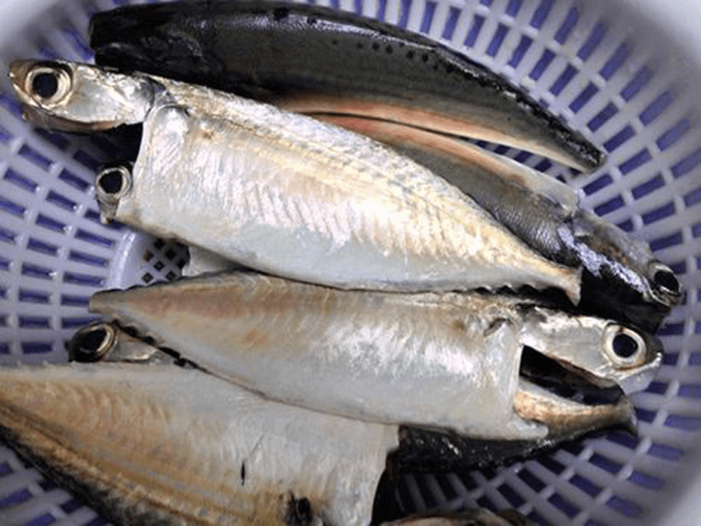 so-che-ca-va-gia-vi-kho-chuan-vi