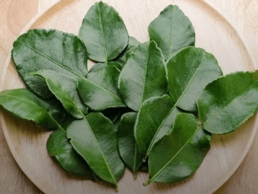 bi-mat-la-than-ky-giup-oc-nha-bun-va-khu-tanh-hoan-toan