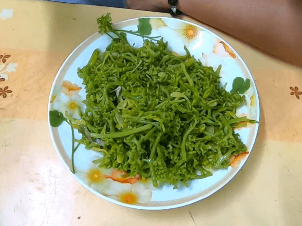 la-du-du-mon-rau-dan-da-nhieu-dinh-duong-bi-ghet-oan