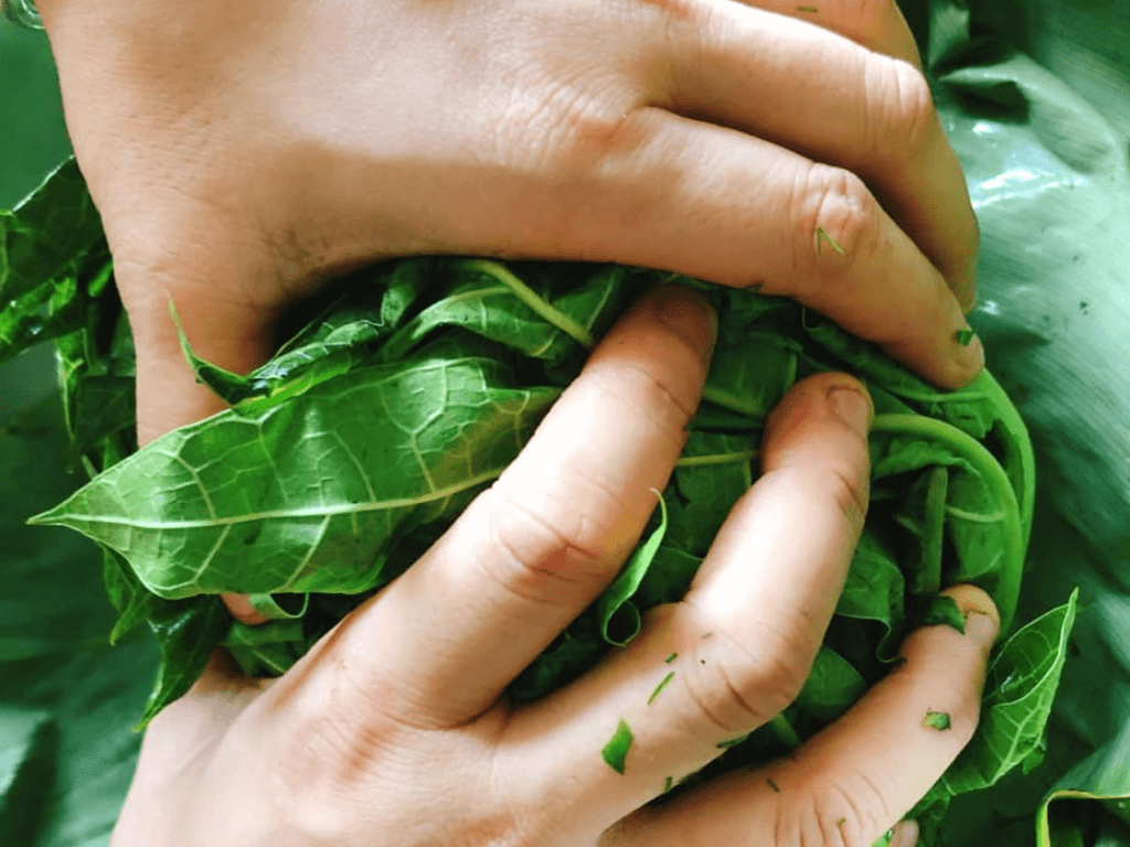 meo-so-che-la-du-du-de-het-dang-bi-kip-dau-tien-truoc-khi-xao