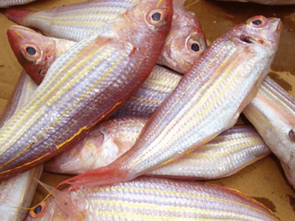 ca-huong-laloai-ca-ngot-it-mui-tanh