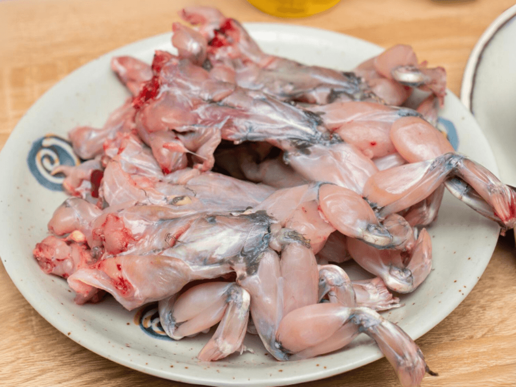 so-che-ech-va-nguyen-lieu