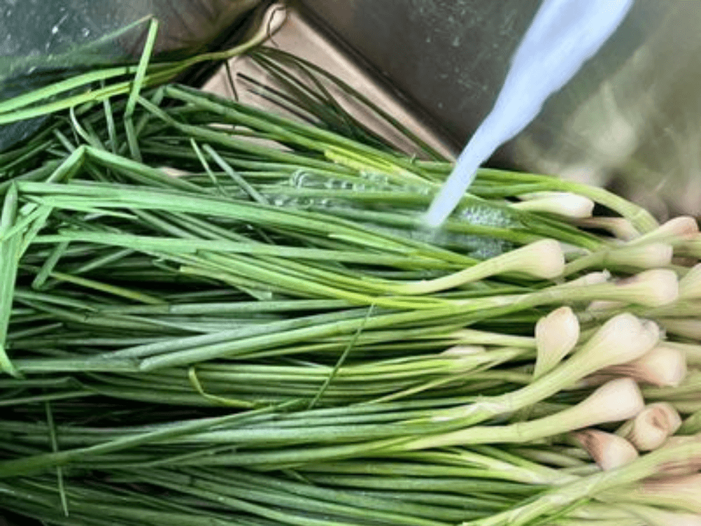 so-che-hanh-la-va-cac-nguyen-lieu-phu-giu-do-gion-va-tuoi