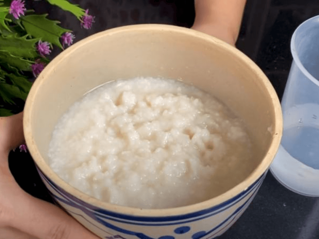 cach-lam-me-chua-bang-com-nguoi-bi-quyet-len-men-chuan