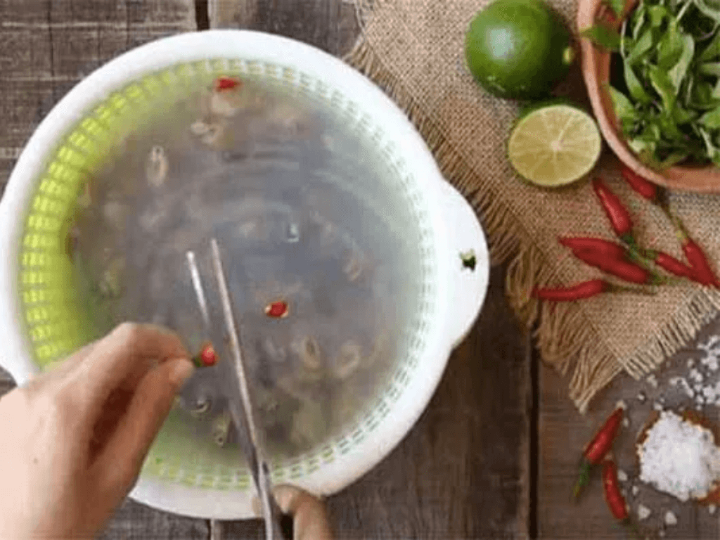 so-che-oc-tuyet-chieu-mut-sach-khong-con-cat