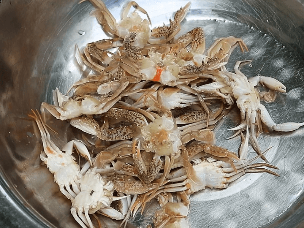 bi-quyet-chon-ghe-sua-ngon-tuoi-va-khong-bi-tanh