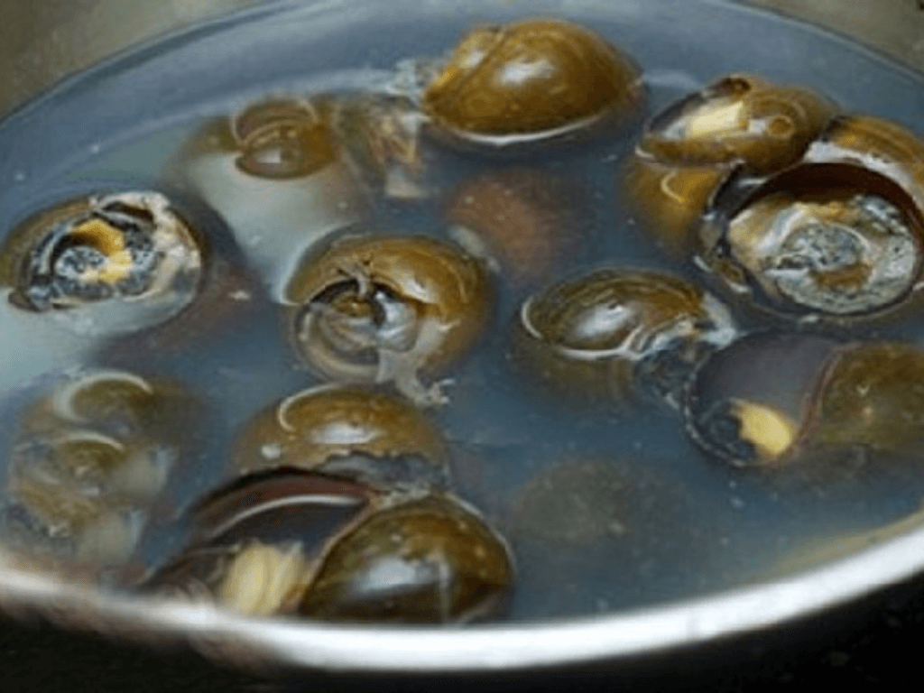 so-che-khu-tanh-nuoc-di-dau-tien-de-mon-oc-thom-chuan