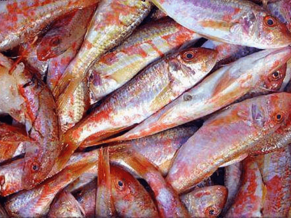 ca-phen-hong-loai-ca-nho-ma-co-vo-khien-ai-an-mot-lan-la-nho-mai