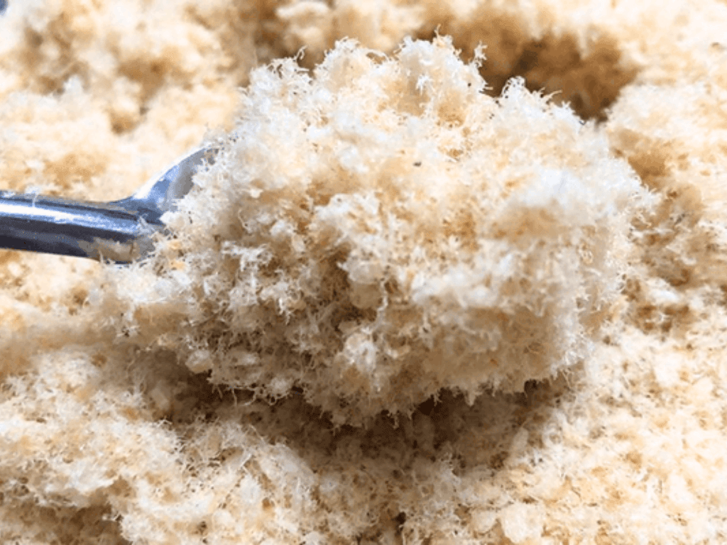 cha-bong-ca-loc-mon-ngon-nho-ma-co-vo-giau-dinh-duong-gap-3-lan-thit-bo