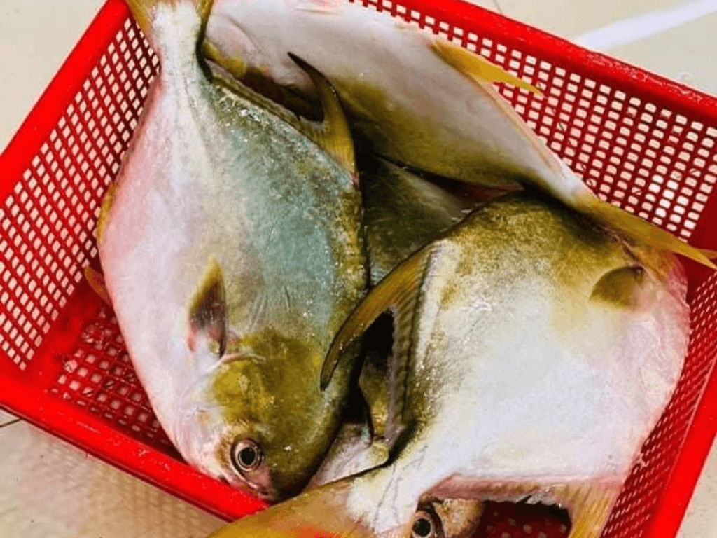 chon-ca-chim-bien-tuoi-ngon-bi-quyet-cho-mon-chien-gion-dung-dieu