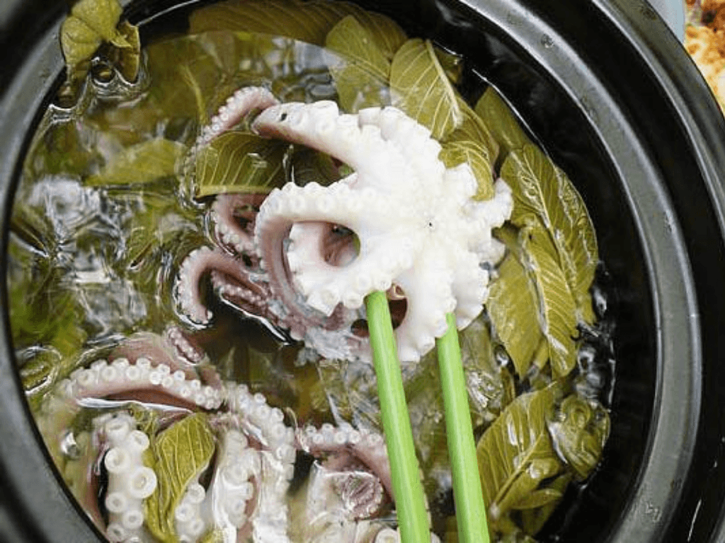 cach-lam-bach-tuoc-hap-la-oi-tung-buoc-chi-tiet-de-nhu-tro-ban-tay