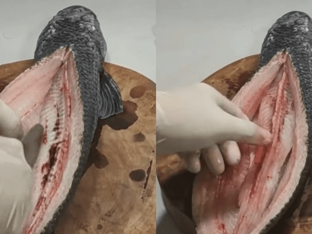 chon-ca-va-so-che-dung-cach-buoc-dau-quyet-dinh-70-do-ngon