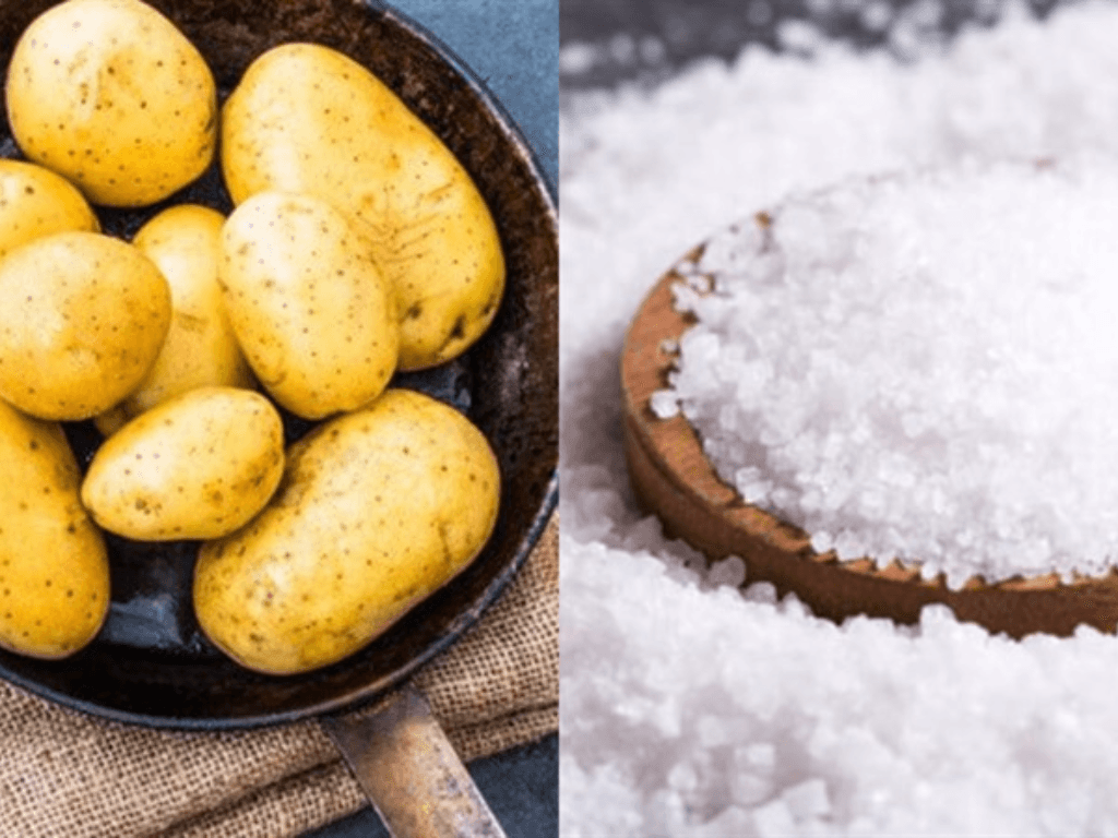 bi-quyet-chon-va-so-che-khoai-buoc-quyet-dinh-do-gion-va-mau-dep