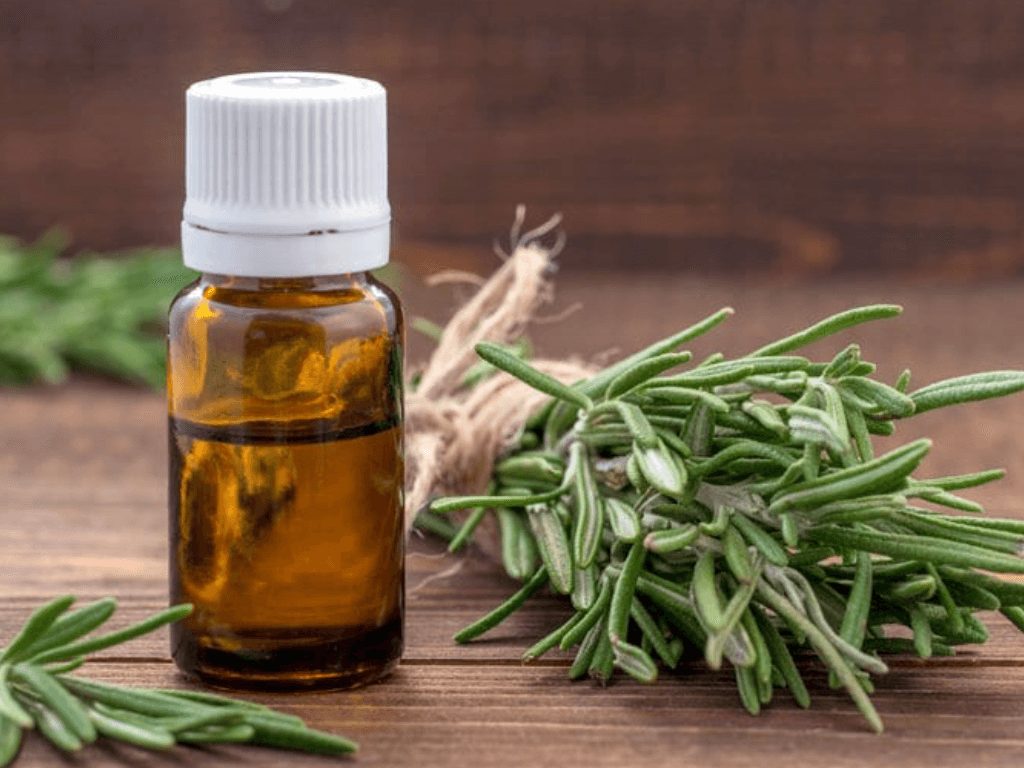 tinh-dau-huong-thao-chien-binh-xanh-cua-khong-khi-trong-lanh