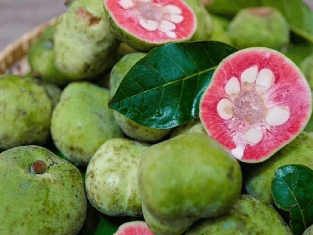 qua-chay-nguyen-lieu-dan-da-an-chua-huong-vi-chua-thanh-doc-dao