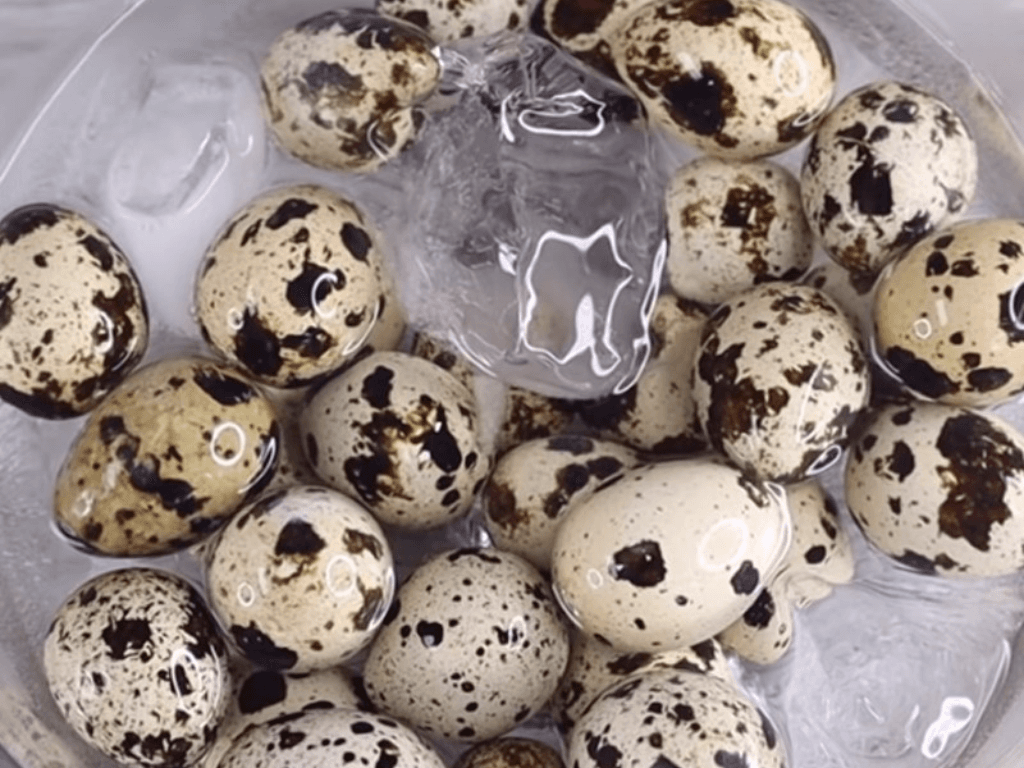 luoc-trung-chuan-long-dao-mem-tan