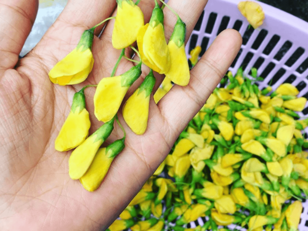 so-che-buoc-nho-quyet-dinh-do-gion-ngot