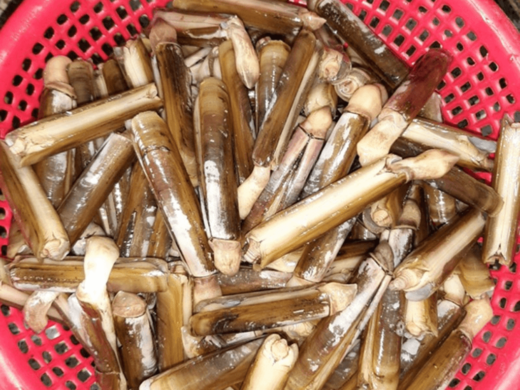 so-che-oc-bi-quyet-de-oc-sach-gion-khong-tanh