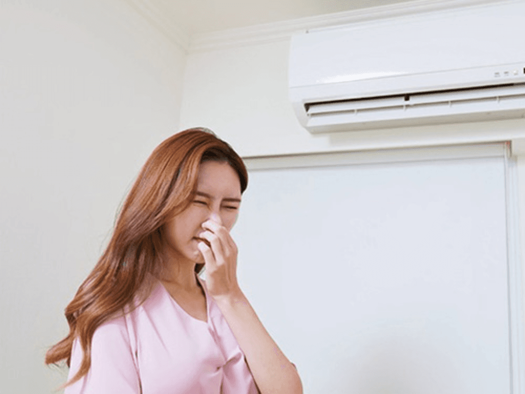 nguyen-nhan-that-su-nam-moc-vi-khuan-dang-tru-ngu-trong-dieu-hoa