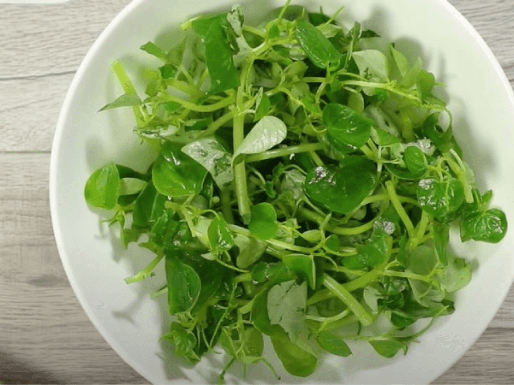 nguyen-lieu-don-gian-nhung-doi-hoi-do-tuoi-tuyet-doi