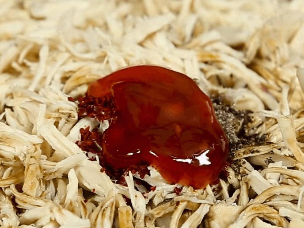 lam-ga-xe-chuan-vi-linh-hon-cua-o-banh-mi-mlem