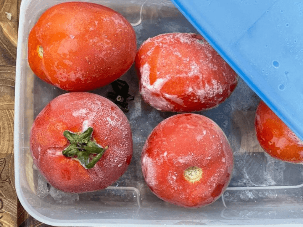 cac-cach-bao-quan-ca-chua-tuoi-lau-tu-don-gian-den-chuyen-nghiep